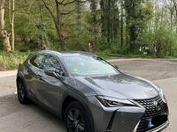 gebraucht Lexus UX 250h