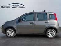 Gebraucht Fiat Panda 69 PS (50 kW) 2023 Colosseo grau) (grau Kleinwagen