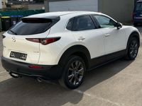 Gebraucht Mazda CX-30 Selection 179 PS (131 kW) 2021 Weiß SUV