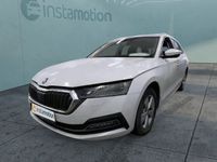 Gebraucht Skoda Octavia Style 116 PS (85 kW) 2023 Weiß Kombi