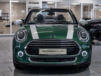 Gebraucht Mini Cooper Cabriolet Chili 136 PS (100 kW) 2021 Grün Cabrio