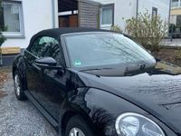 gebraucht VW Beetle The Cabriolet 1.2 TSI (BlueMotion Tech)