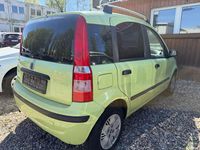 Gebraucht Fiat Panda Dynamic 60 PS (44 kW) 2003 Grün Kleinwagen