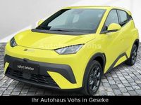 Neu BYD Dolphin Surf Boost 64 kW (88 PS) 2025 Weiß Kleinwagen