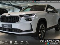 Gebraucht Skoda Kodiaq Selection 190 PS (139 kW) 2024 Andere farbe SUV