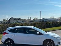 Usata Ford Focus Trend 125 CV (91 kW) 2017 Bianco Berlina