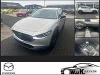 Neu Mazda CX-30 Homura-Line 186 PS (136 kW) 2025 Beige SUV