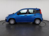 Neu Fiat Panda 69 PS (50 kW) 2025 Blau Kleinwagen