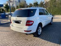 Gebraucht Mercedes ML350 Edition 231 PS (169 kW) 2010 Weiß SUV