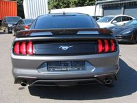 gebraucht Ford Mustang MustangEco Boost 2,3l 2021 Coupé Autom