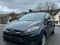 Gebraucht Ford Fiesta Trend 82 PS (60 kW) 2009 Grau Kleinwagen