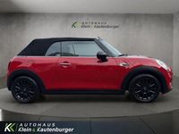 Gebraucht Mini Cooper 136 PS (100 kW) 2017 Andere Kleinwagen