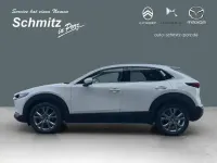 Neu Mazda CX-30 Exclusive-Line 140 PS (102 kW) 2026 Weiss SUV
