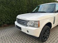 Gebraucht Land Rover Range Rover Vogue 272 PS (200 kW) 2009 Weiß SUV