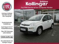 Gebraucht Fiat Panda 69 PS (50 kW) 2024 Weiß Kleinwagen