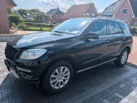 Gebraucht Mercedes ML250 205 PS (150 kW) 2013 Schwarz SUV
