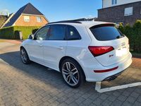 Gebraucht Audi SQ5 Sport 360 PS (264 kW) 2015 Weiß SUV