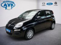 Neu Fiat Panda Icon 69 PS (50 kW) 2025 Colore esterno (cinema schwarz Kleinwagen