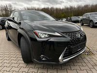 gebraucht Lexus UX 250h 4WD Executive Mark Levinson