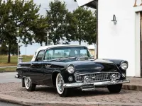 Gebraucht Ford V8 218 PS (160 kW) 1956 Schwarz Cabrio