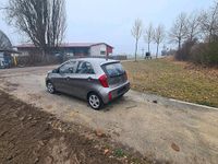 Gebraucht Kia Picanto 67 PS (49 kW) 2015 Grau Kleinwagen