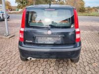 Gebraucht Fiat Panda Dynamic 60 PS (44 kW) 2008 Crossover schwarz Kleinwagen