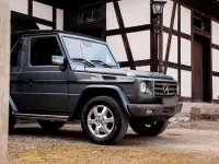 Gebraucht Mercedes G350 224 PS (164 kW) 2010 Grau SUV
