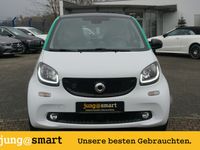 gebraucht Smart ForTwo Electric Drive smart EQ Navi Kamera Sitzheizung 22KWPano