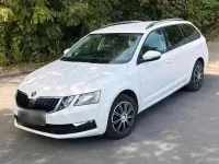 Gebraucht Skoda Octavia 116 PS (85 kW) 2019 Weiß Kombi