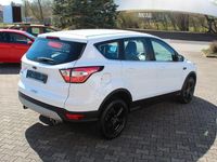 Gebraucht Ford Kuga Trend 120 PS (88 kW) 2019 Weiß SUV