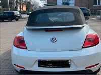 Gebraucht VW Beetle Exclusive 160 PS (117 kW) 2014 Weiß Kleinwagen