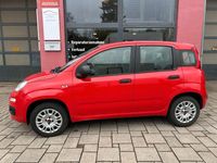 Gebraucht Fiat Panda City Life 69 PS (50 kW) 2018 Rot Kleinwagen