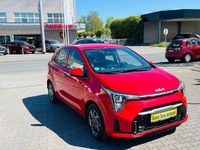 Gebraucht Kia Picanto Vision 63 PS (46 kW) 2024 Rot Kleinwagen