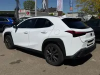 Gebraucht Lexus UX 250h Sport Line 170 PS (125 kW) 2024 Silber SUV