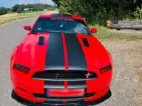 Gebraucht Ford Mustang GT 426 PS (313 kW) 2014 Rot Coupé