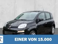 Gebraucht Fiat Panda 71 PS (52 kW) 2021 Schwarz Kleinwagen