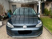 Gebraucht VW Golf VII 185 PS (136 kW) 2016 Grau Kleinwagen
