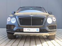Gebraucht Bentley Bentayga 435 PS (319 kW) 2017 Beluga SUV