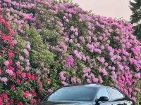 Gebraucht Audi A5 Sportback S-Line 211 PS (155 kW) 2011 Schwarz Kleinwagen