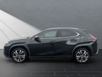 Gebraucht Lexus UX 250h 184 PS (135 kW) 2023 Schwarz SUV