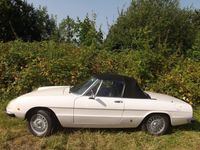 Gebraucht Alfa Romeo Spider 129 PS (94 kW) 1979 Weiß Cabrio