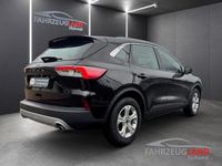 Używany Ford Kuga Cool & Connect 150 KM (110 kW) 2020 Czarny SUV