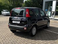Neu Fiat Panda 69 PS (50 kW) 2025 Cinema schwarz Kleinwagen