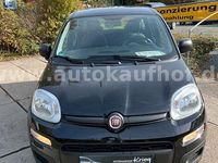 Gebraucht Fiat Panda Easy 69 PS (50 kW) 2019 Schwarz Kleinwagen