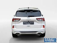 Gebraucht Ford Kuga Vignale 152 PS (111 kW) 2022 Arktis weiß SUV