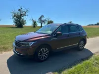Gebraucht VW Tiguan Life 150 PS (110 kW) 2023 Braun SUV