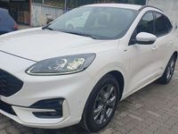 Gebraucht Ford Kuga ST-Line X 150 PS (110 kW) 2020 Weiß SUV