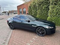 Używany Jaguar XE Pure 241 KM (177 kW) 2016 Zielony Sedan/Limuzyna