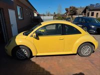 Gebraucht VW New Beetle 75 PS (55 kW) 2005 Gelb Kleinwagen