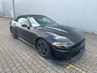 gebraucht Ford Mustang Cabrio 2,3 Eco Boost Shelby Kamera Navi